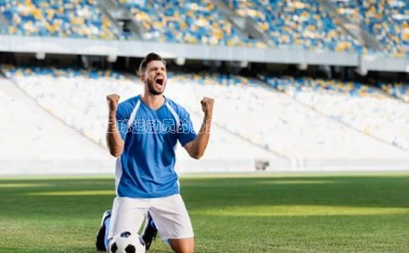 恒盛娱乐登录每日互动探寻98俄罗斯足球运动员的身影，这些球员中谁是风云人物