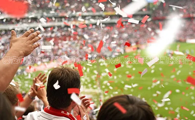 恒盛娱乐官网荣信文化泰安市体育足球运动学校：培养未来足球之星的摇篮