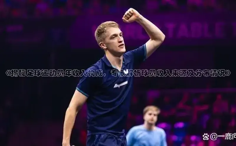 恒盛平台登录入口网页版同程《揭秘足球运动员年收入构成，专家解析球员收入来源及分布情况》