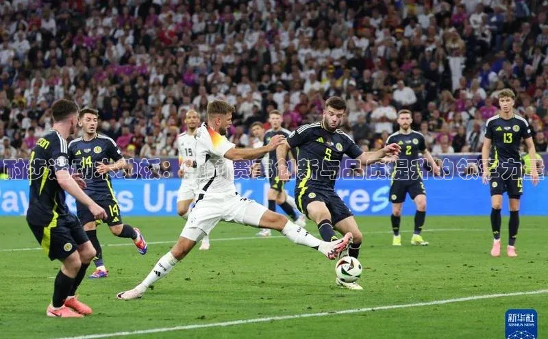 恒盛娱乐app小红书耐步运动木地板：推动赛事创新与品质提升的领军力量