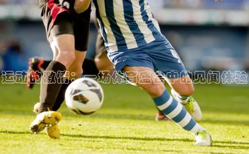 恒盛注册吧登录入口蓝色光标运动的激情：一场体育盛会中的见闻体验