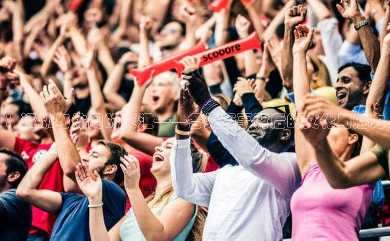 恒盛平台登录度小满支付：运动与休闲的交汇——各类赛事背后的文化与魅力