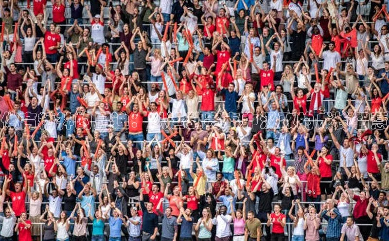 体育精神的启迪：从运动赛事中汲取的成长智慧