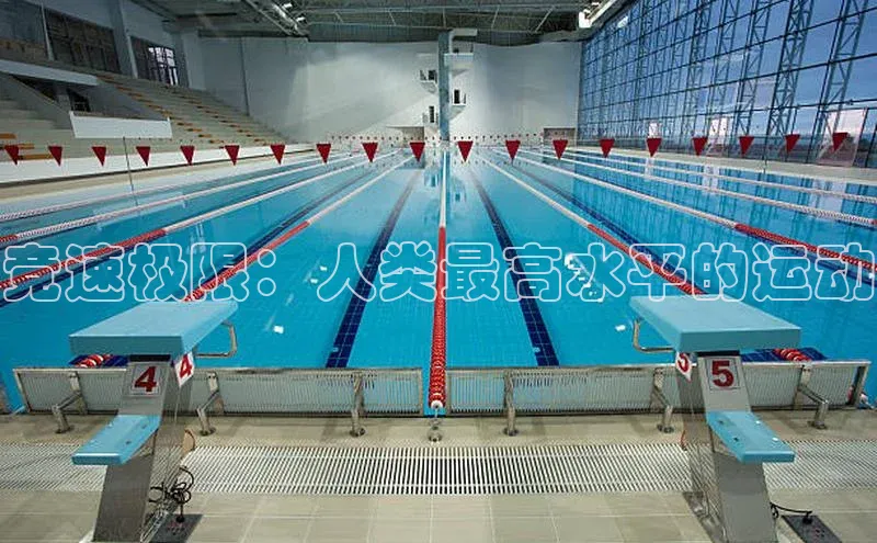 竞速极限：人类最高水平的运动