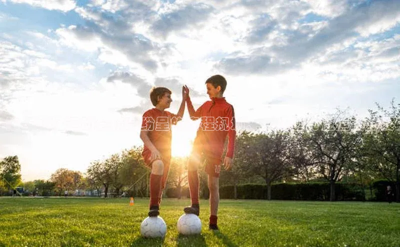 第十四届运动会精彩纷呈的赛程规划：一场全方位运动盛宴