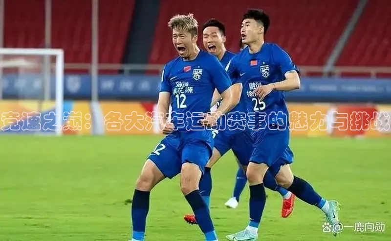 竞速之巅：各大汽车运动赛事的魅力与挑战