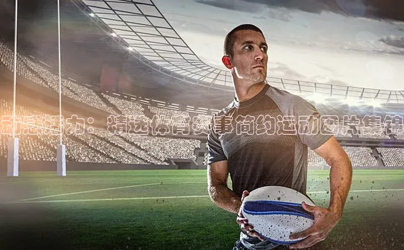 动感活力：精选体育赛事简约运动图片集锦
