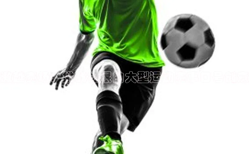 激越赛场：挑战极限的大型运动赛事口号创意