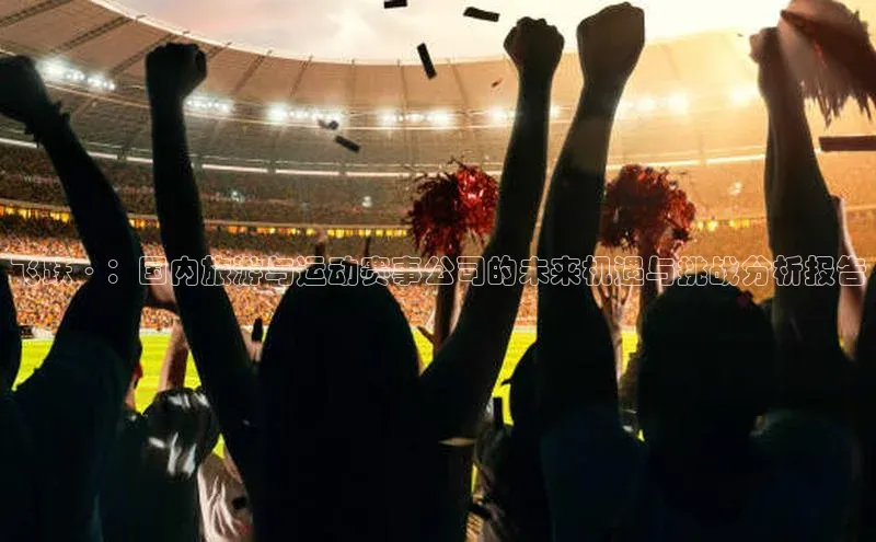 飞跃·：国内旅游与运动赛事公司的未来机遇与挑战分析报告