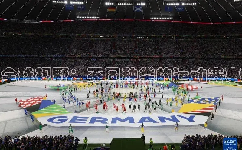 全球视野：不同种类的运动赛事